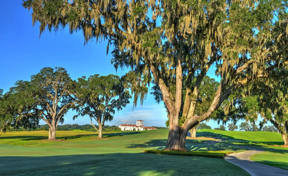 Natural surroundings and green spaces near Build On Your Land in Ocala, FL (Image 10).