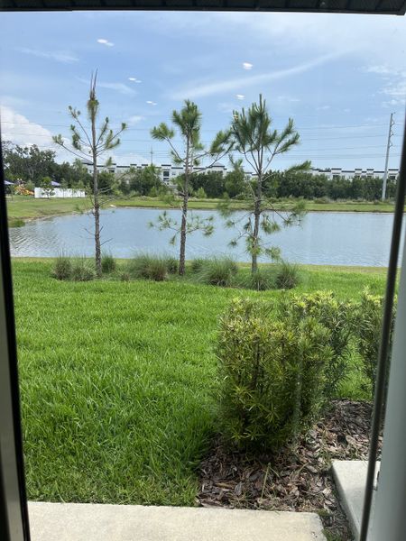 A serene backyard view with lush grass, young trees, and a tranquil pond under a bright blue sky. A serene backyard view with lush grass, young trees, and a tranquil pond under a bright blue sky.