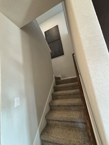 A cozy carpeted stairway with modern decor and soft neutral walls.