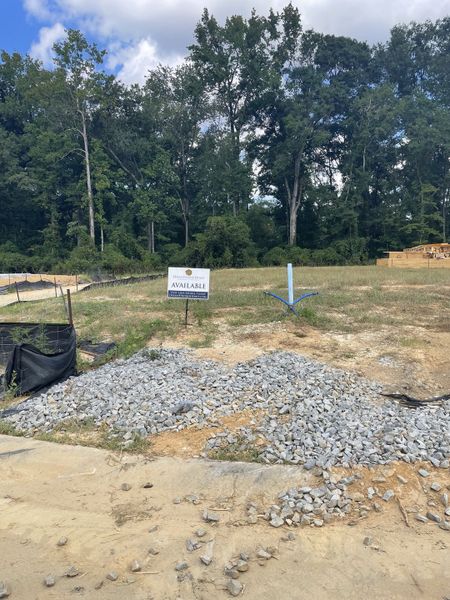 A serene plot with lush trees, perfect for a Dream Finders Homes project in Sweetgrass Station, Summerville, SC.