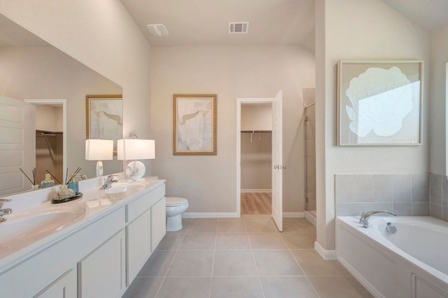 Owner's Bathroom
