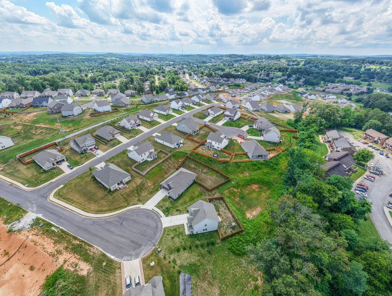 Aerial view of the The Grove at Harrison Glen community in Lenoir City, TN, showing layout and nearby surroundings (Image 11). Aerial view of the The Grove at Harrison Glen community in Lenoir City, TN, showing layout and nearby surroundings (Image 11).