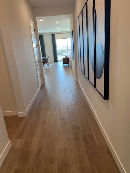 A modern hallway with sleek wooden flooring, elegant wall art, leading to a bright living area.