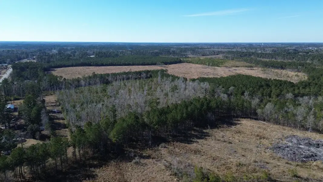 Natural surroundings and green spaces near Kingston Preserve at Brookhaven in Conway, SC (Image 18).