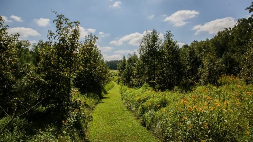 Just across the street, enjoy Wilkerson Nature Preserve, a natural 157-acre park on a lake with meadows, fields, play areas, trails, and exhibits Just across the street, enjoy Wilkerson Nature Preserve, a natural 157-acre park on a lake with meadows, fields, play areas, trails, and exhibits