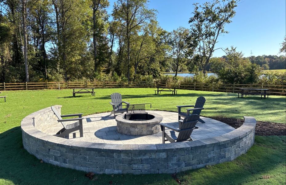 Community Fire Pit and Picnic Park