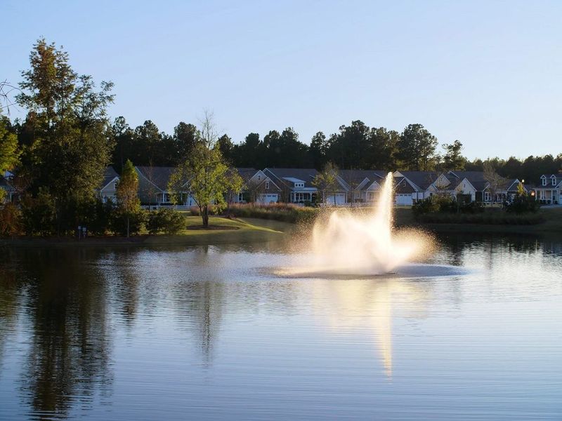 Neighborhood pond at Cresswind Charleston Neighborhood pond at Cresswind Charleston