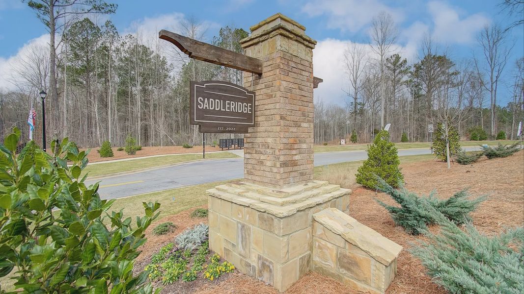Front exterior of a home in the Saddleridge community, located in Senoia, GA (Image 11). Front exterior of a home in the Saddleridge community, located in Senoia, GA (Image 11).