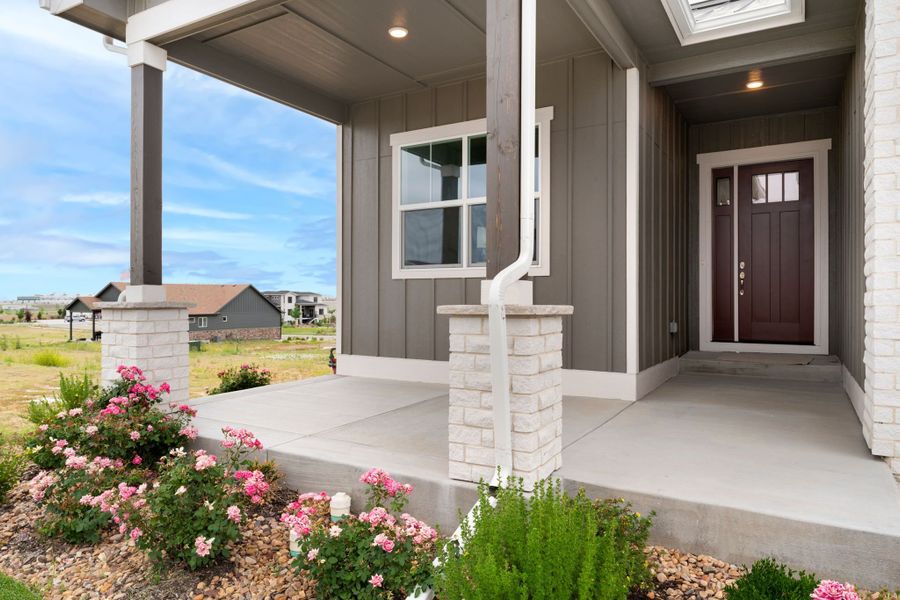 The Aurora Highlands,80019