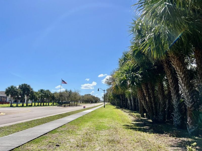 Natural surroundings and green spaces near Lakes At St Sebastian in Sebastian, FL (Image 56).