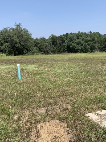 Expansive green field with lush trees in Oaks at San Gabriel by Brightland Homes (Georgetown, TX).