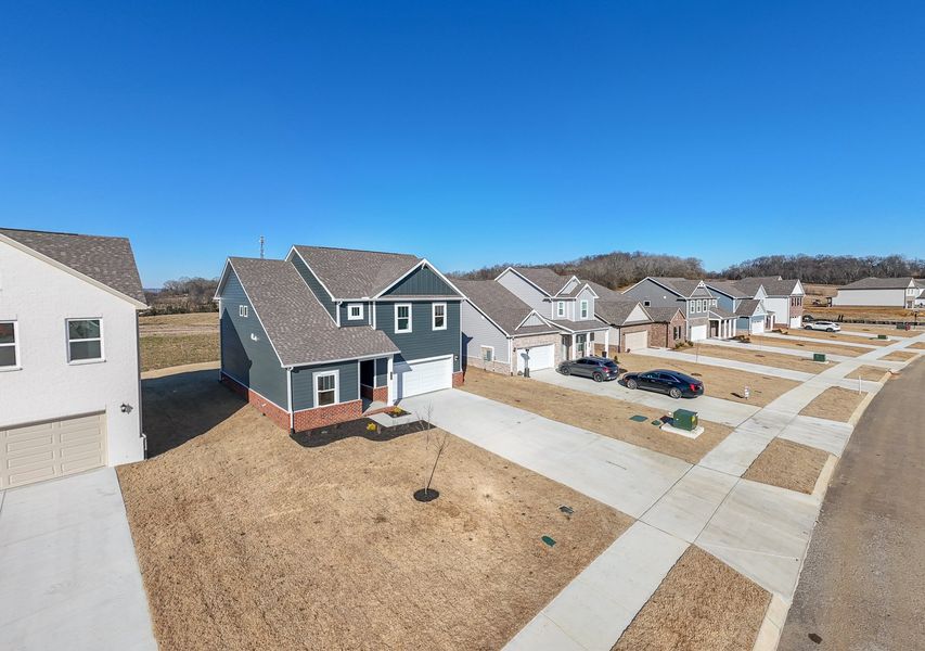 Arbor Valley: January 2025