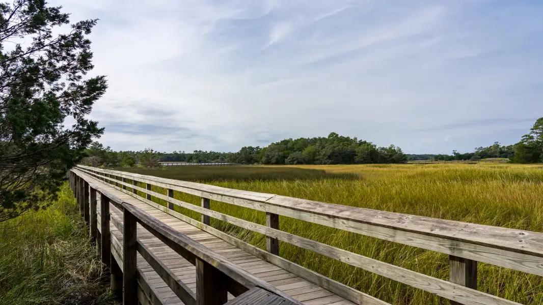 Natural surroundings and green spaces near Fox Run in Supply, NC (Image 13). Natural surroundings and green spaces near Fox Run in Supply, NC (Image 13).