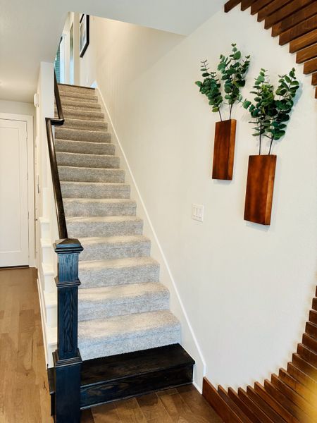 A modern staircase with carpeted steps and elegant wood accents, complemented by stylish plant décor on the wall.