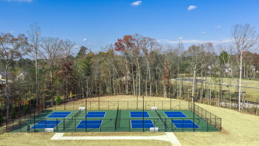 Community amenity available to residents of WillowBrook in Winder (Image 3).