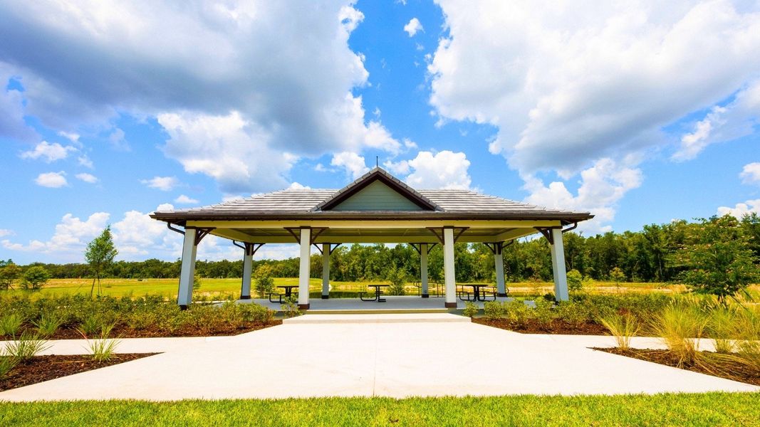 Community amenity available to residents of Archer at Two Rivers in Zephyrhills (Image 13).