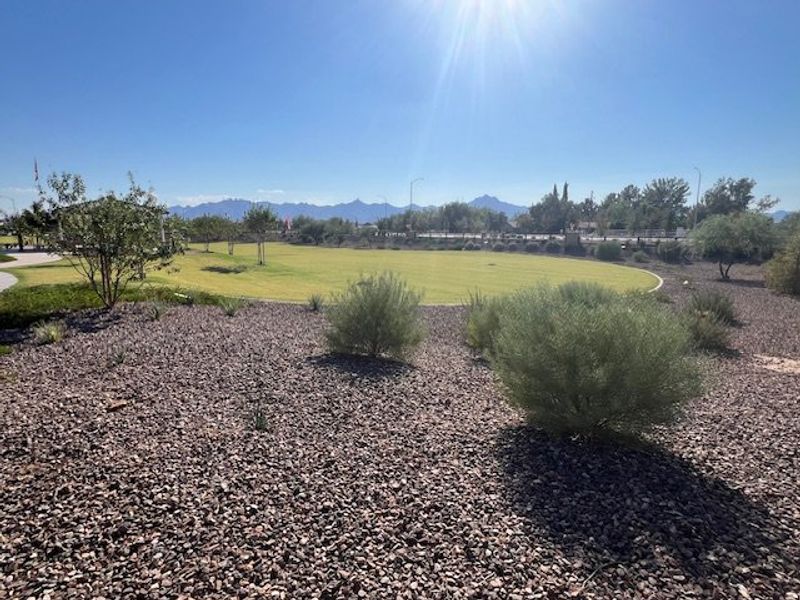 A serene landscaped park with mountain views in Laveen Vistas III by Homes by Towne, Laveen, AZ. A serene landscaped park with mountain views in Laveen Vistas III by Homes by Towne, Laveen, AZ.