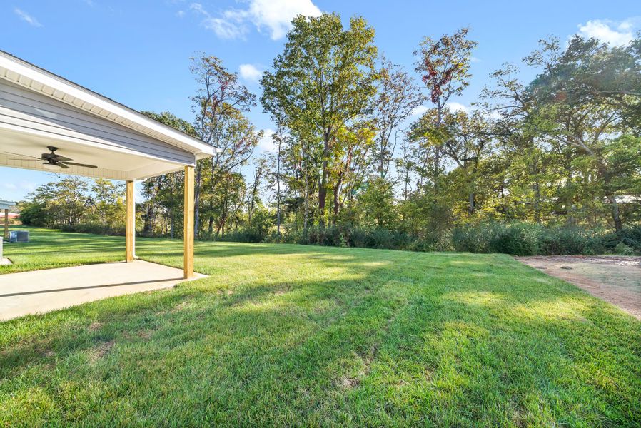 Exterior details of a home in Cherry Fields, Clarksville (Image 3).