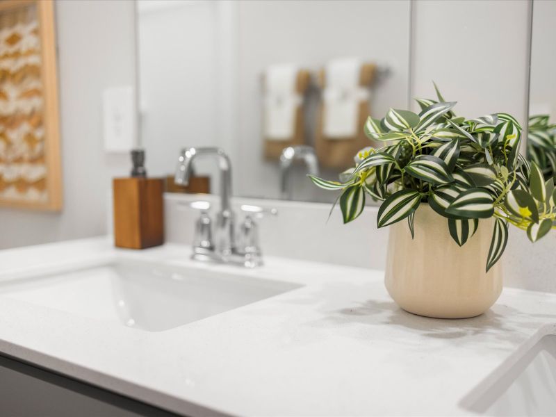 Welcome to the Chatham model at Maxwell Commons. Welcome to the Chatham model at Maxwell Commons.