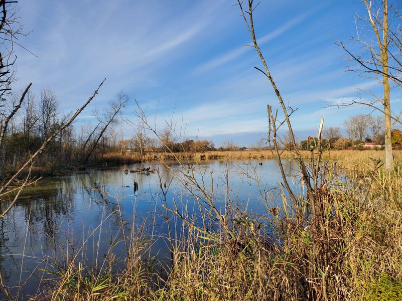 Natural surroundings and green spaces near Individual Homes - Jackson County in Jackson, MI (Image 5).
