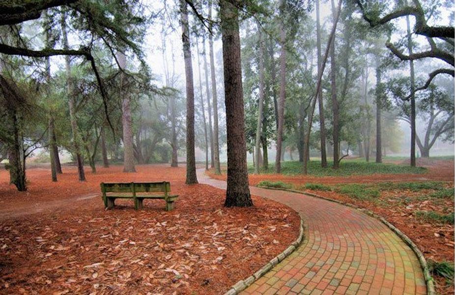 Image 29 of the The Abbey at Trolley Run Station community in Aiken, SC.