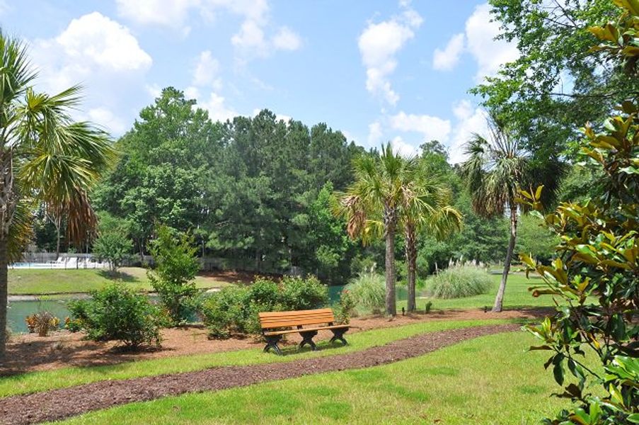 Natural surroundings and green spaces near Tributary III at the Park at River's Edge in North Charleston, SC (Image 12).