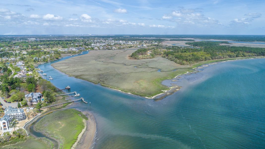 Natural surroundings and green spaces near The Marshes at Daniel Island in Charleston, SC (Image 2).