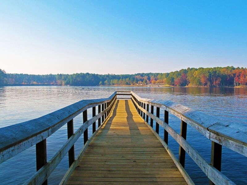 Natural surroundings and green spaces near Rockport in Wake Forest, NC (Image 82).
