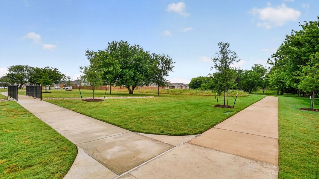 Natural surroundings and green spaces near Terra Trace in Crowley, TX (Image 60).
