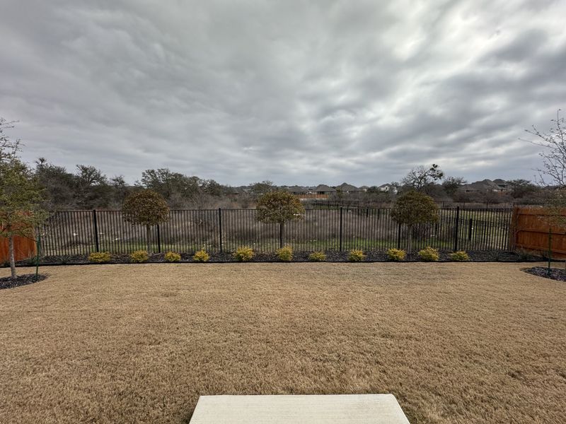 A serene backyard view with a neatly landscaped lawn in Meyer Ranch by Scott Felder Homes (New Braunfels, TX).