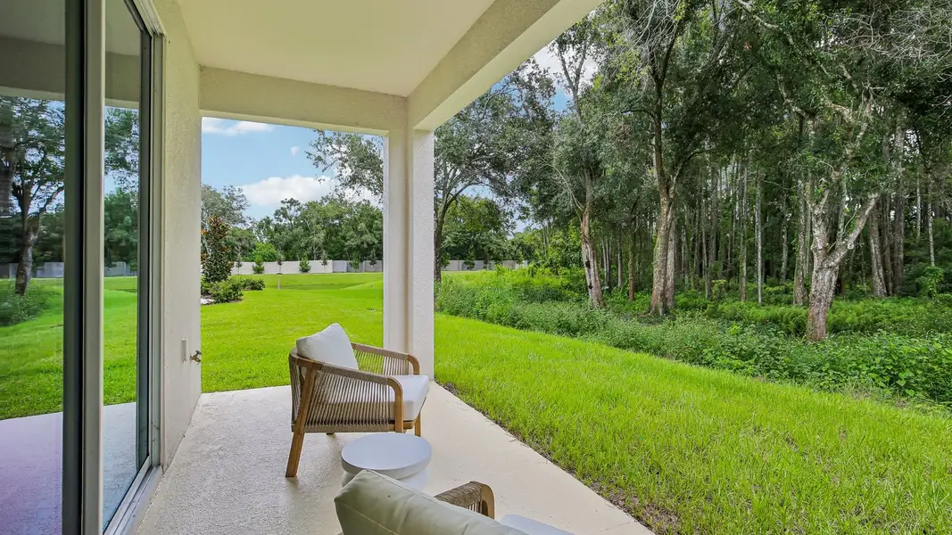 Exterior details of a home in Sanctuary at Citrus Park Townhomes, Tampa (Image 3).