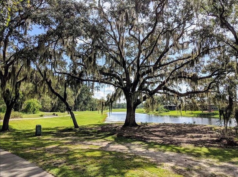 Natural surroundings and green spaces near Fairway Pointe - Villa Community in Sun City Center, FL (Image 21). Natural surroundings and green spaces near Fairway Pointe - Villa Community in Sun City Center, FL (Image 21).