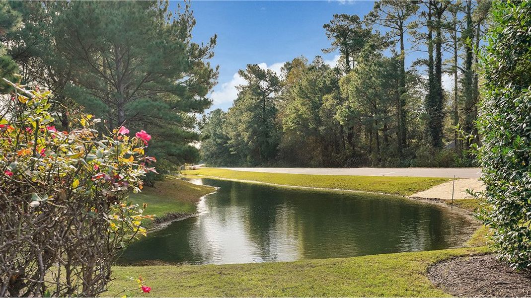 Waterfall Villages Amenity Pond