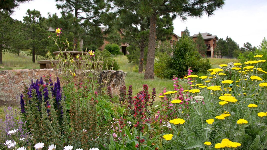 Natural surroundings and green spaces near The Summit at Castle Pines in Castle Pines, CO (Image 47).