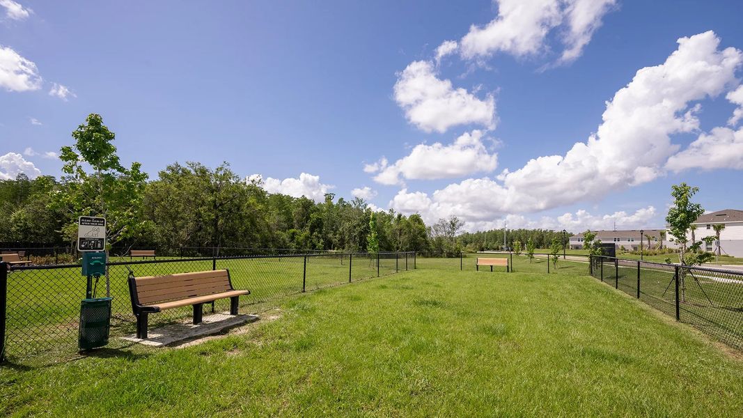 Dog park