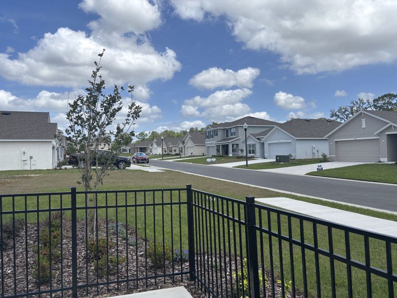 Charming suburban street with modern homes in Autumn Glen by D.R. Horton, nestled in Belleview, FL.