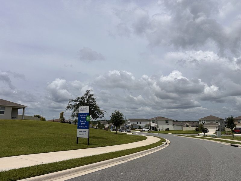 A serene neighborhood street in Ridgeview by Landsea Homes, Clermont, FL, with well-maintained sidewalks and lush greenery.