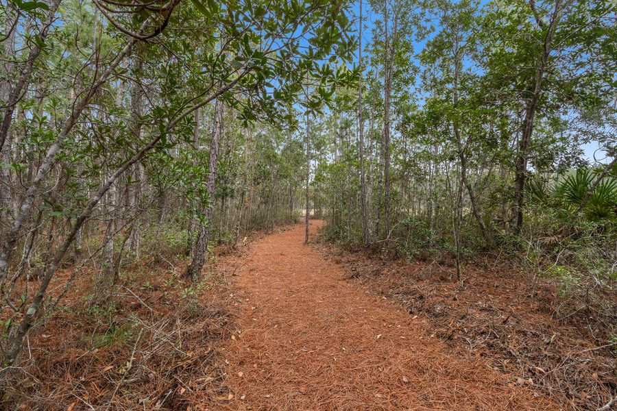 Natural surroundings and green spaces near Evergreen Island at Silverleaf - Executive in St. Augustine, FL (Image 25).