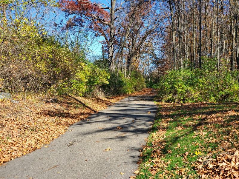Natural surroundings and green spaces near Jackson 100 Program in Jackson, MI (Image 5).