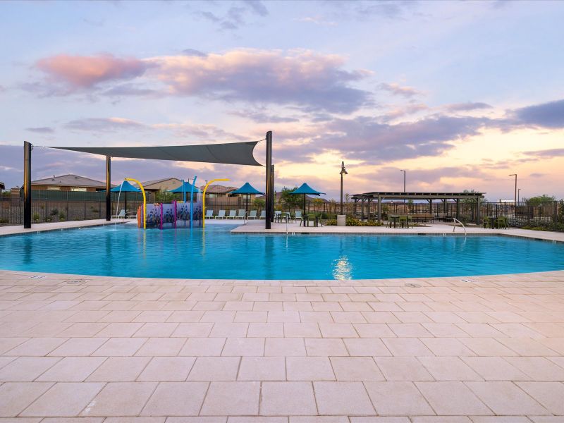 Community Pool at Paloma Creek