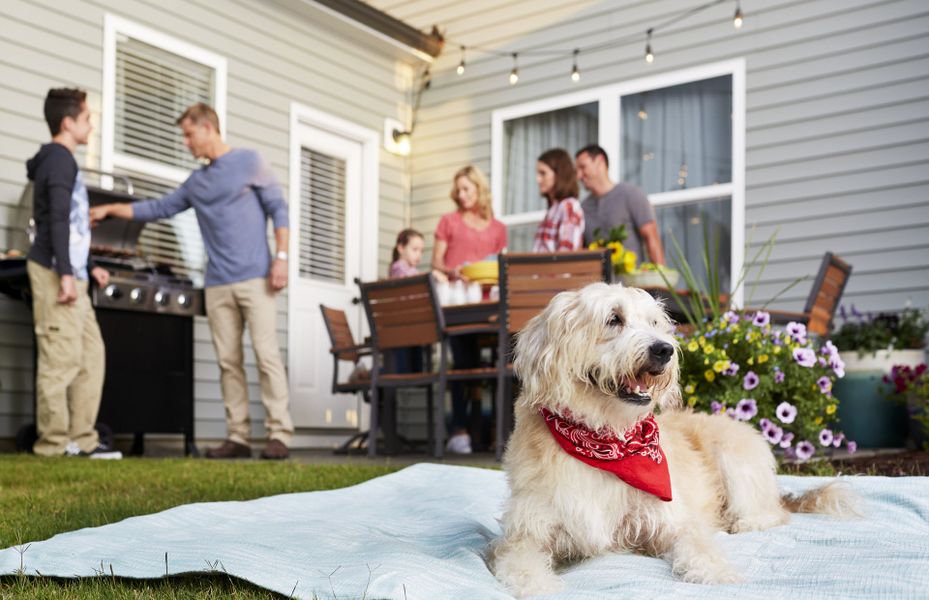 Image 10 of the The Homestead at Ownsby Farms community in Celina, TX.