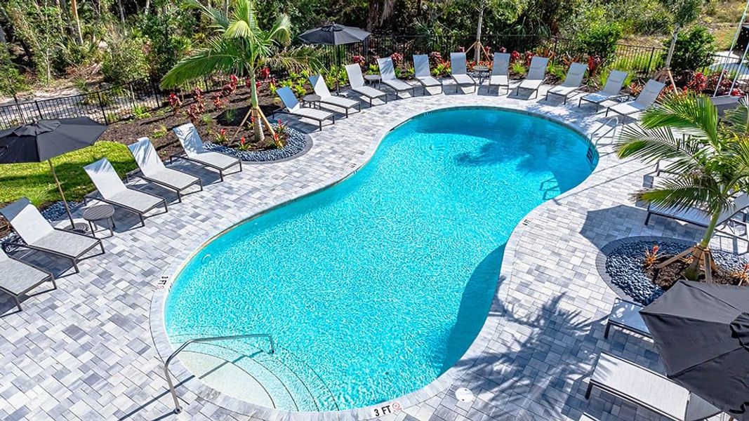 Community amenity available to residents of The Towns at Tiburon in Nokomis (Image 15).