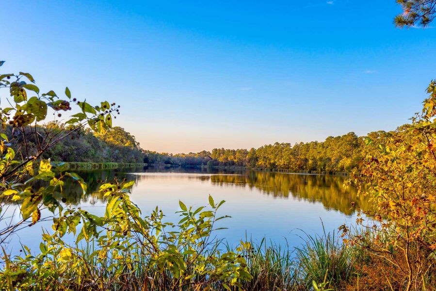Natural surroundings and green spaces near Grand Central Park in Conroe, TX (Image 21).