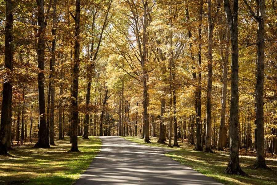 Hickory Cove - DSLD Homes - Dickson TN - Montgomery Bell State Park