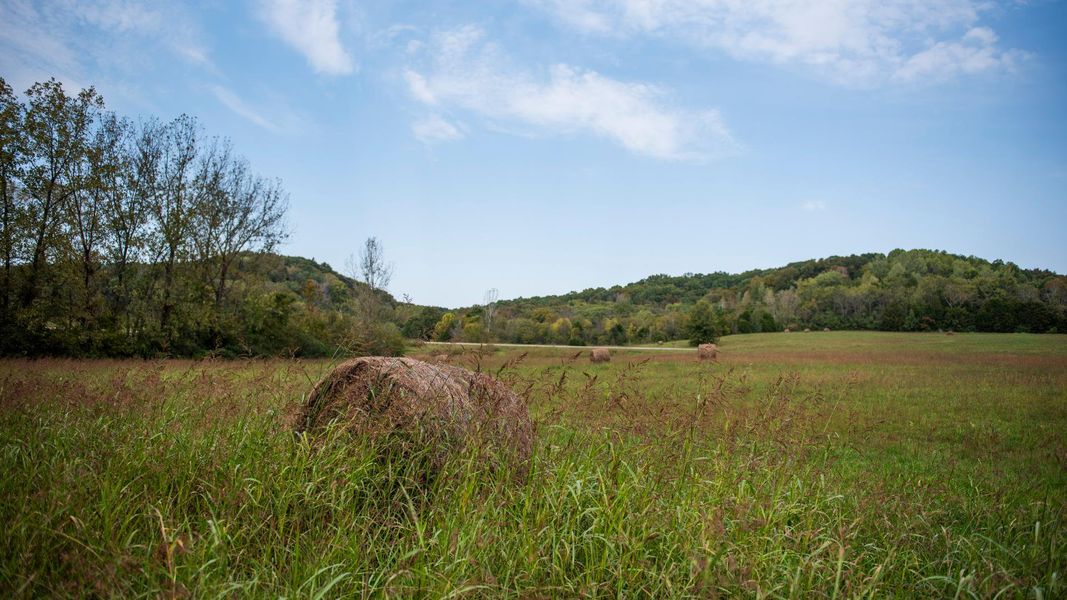 Discover the timeless beauty of Franklin, where scenic landscapes and Southern charm create an exceptional place to call home
