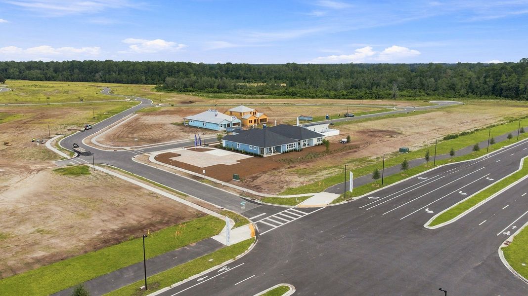 Site preparation and early development at The Preserve at Laurelton – Canopy Collection in Green Cove Springs, FL (Image 30).