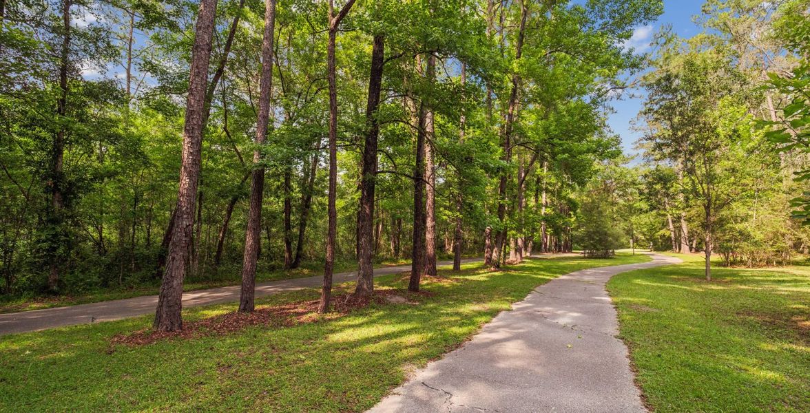 San Felasco Hammock Preserve State Park San Felasco Hammock Preserve State Park