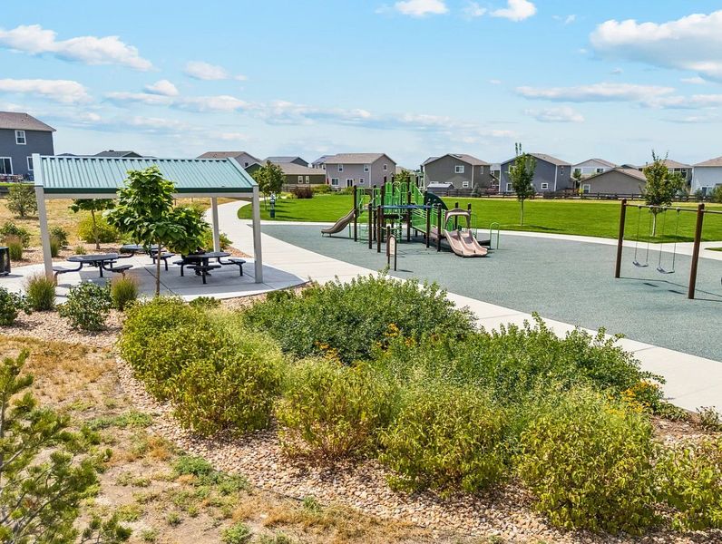 New Homes in Frederick, CO. - Slide 52 New Homes in Frederick, CO. - Slide 52