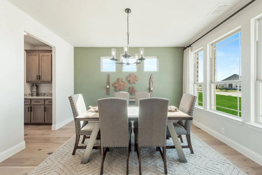 Image 12 of the Creekview Meadows master-planned community in Pilot Point, TX.