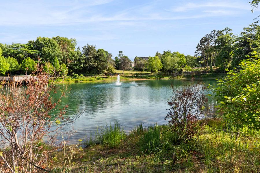 Natural surroundings and green spaces near Wade Farm in McDonough, GA (Image 9).